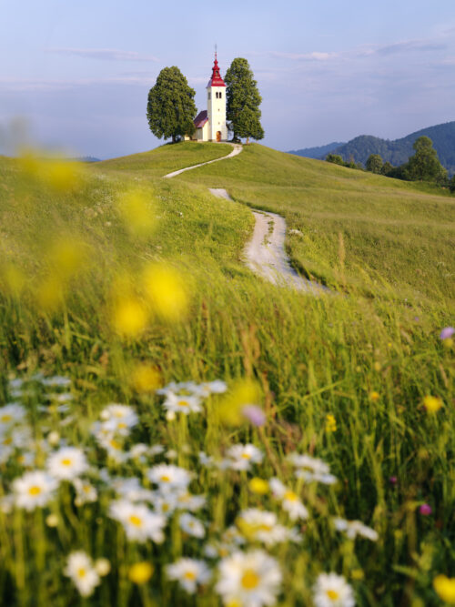 église San Tomas à Vrsnik