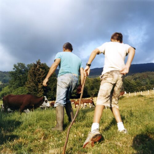 Theys (38)-juillet 2004