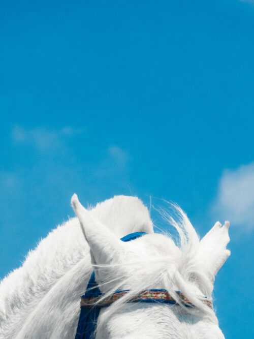 2023_ExtraitLaFormeQueLeVentDonneAuxNuages_LolaCacciarella12