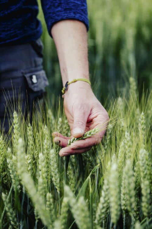La Nouvelle Agriculture